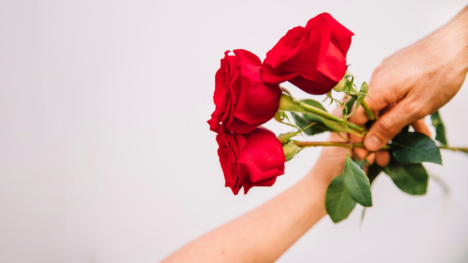 The Surprising Benefits of Giving Roses as Gifts - Hunter & Aurora Roses