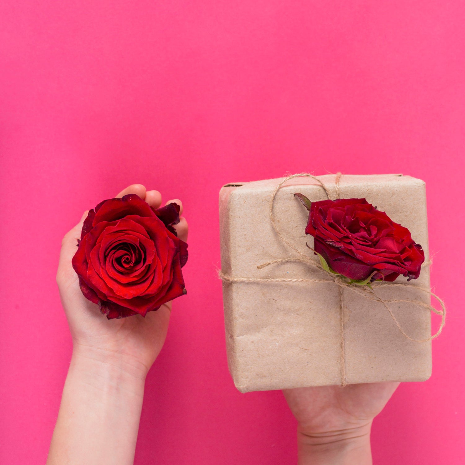 The Most Effective Tips for Gifting Roses - Hunter & Aurora Roses