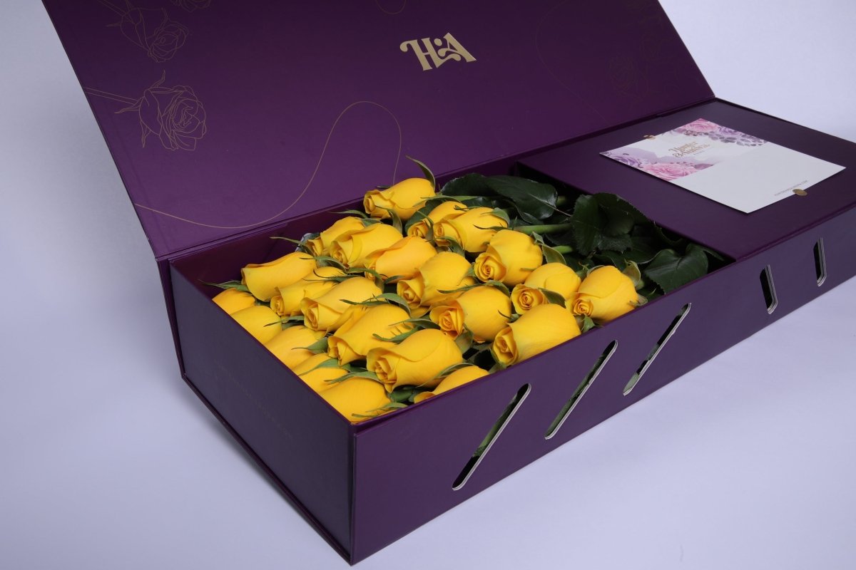 Sunshine Bliss - Hunter & Aurora Roses