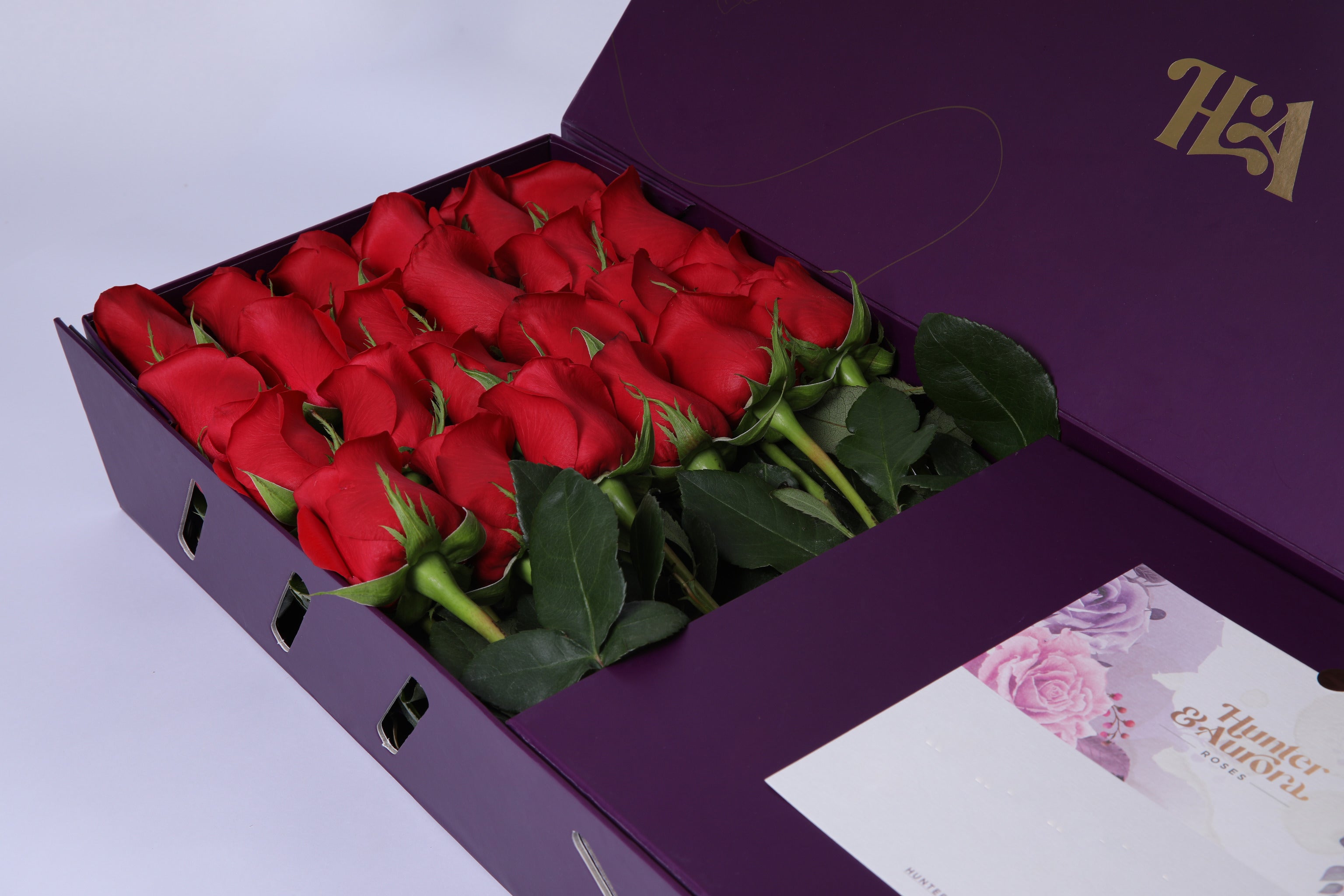 Velvet Passion