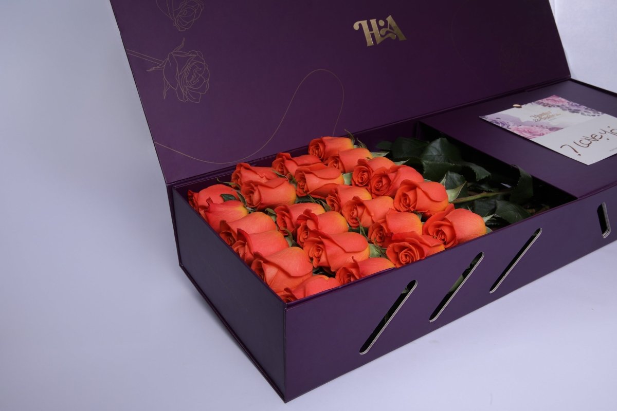 Citrus Blaze - Hunter & Aurora Roses
