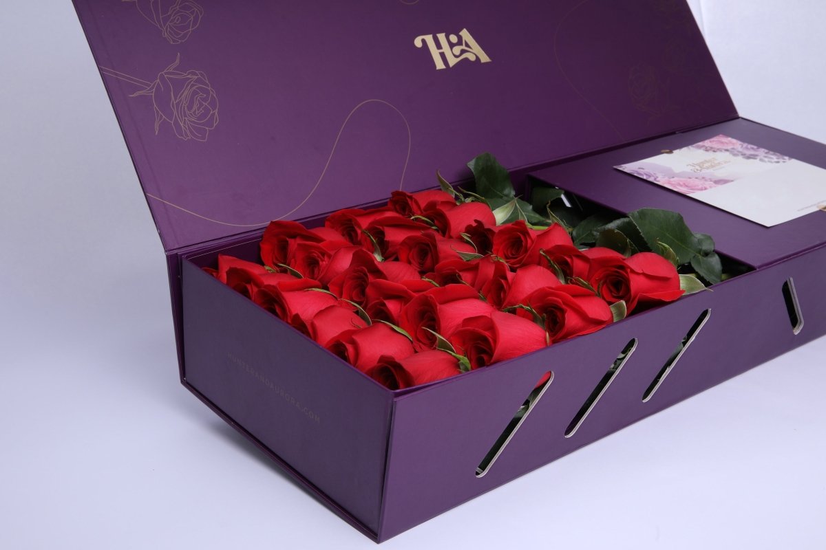 Velvet Passion - Hunter & Aurora Roses