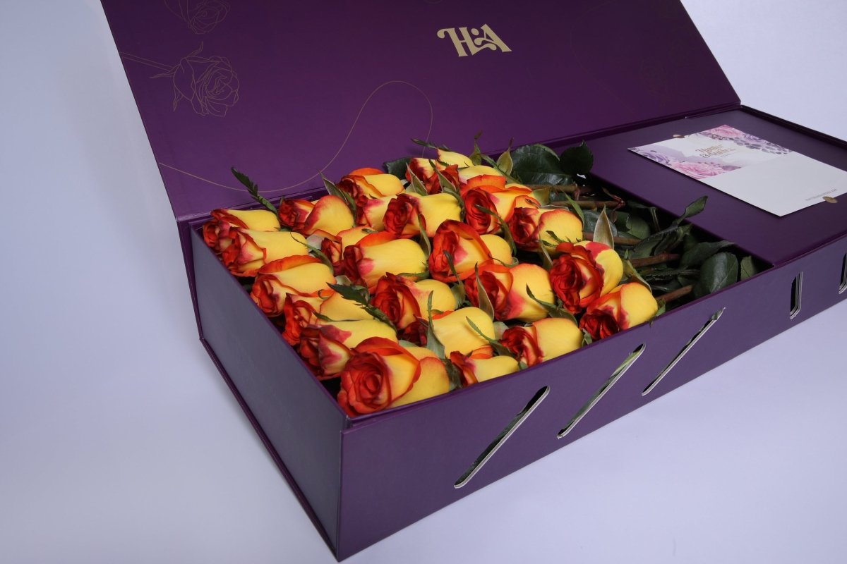 Fire & Gold - Hunter & Aurora Roses