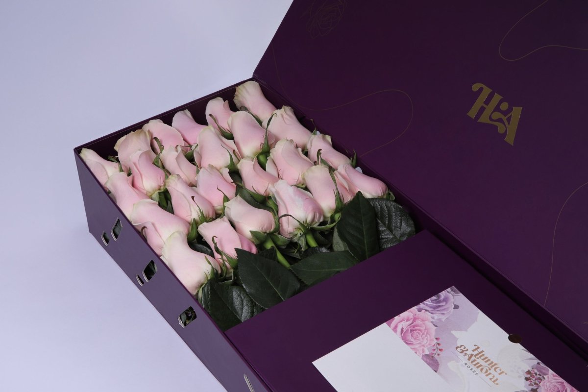 Blush Elegance - Hunter & Aurora Roses