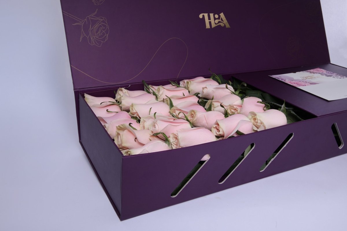 Blush Elegance - Hunter & Aurora Roses