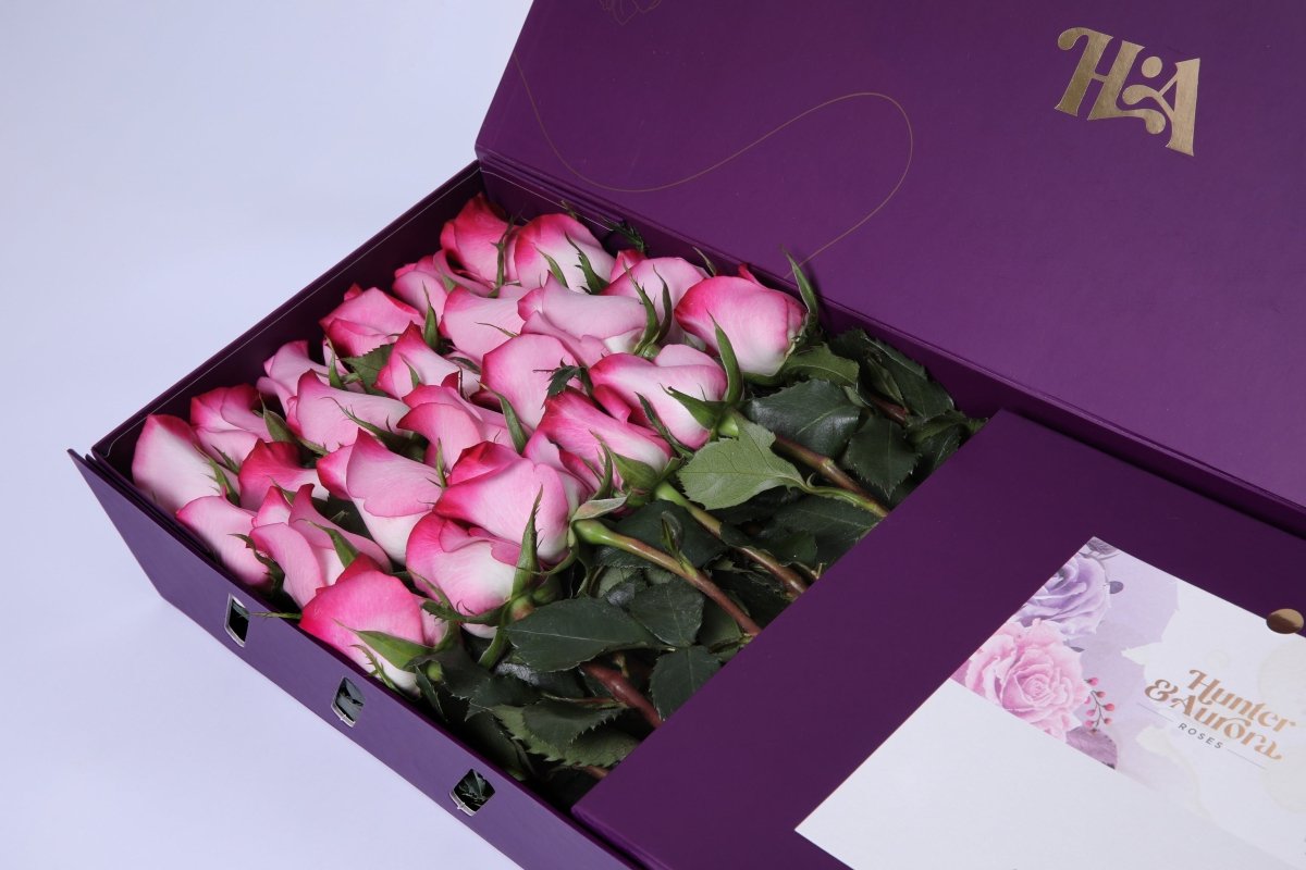 Mystic Lavender - Hunter & Aurora Roses