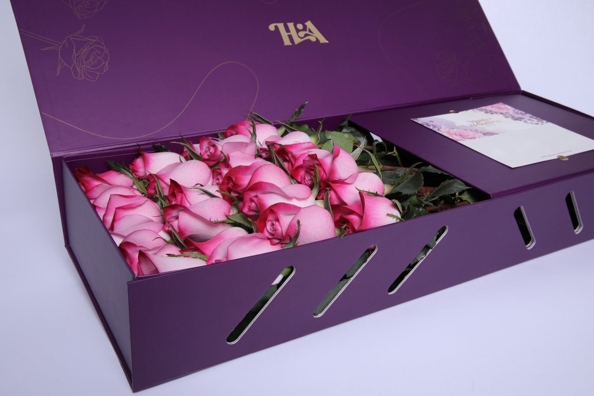 Mystic Lavender - Hunter & Aurora Roses