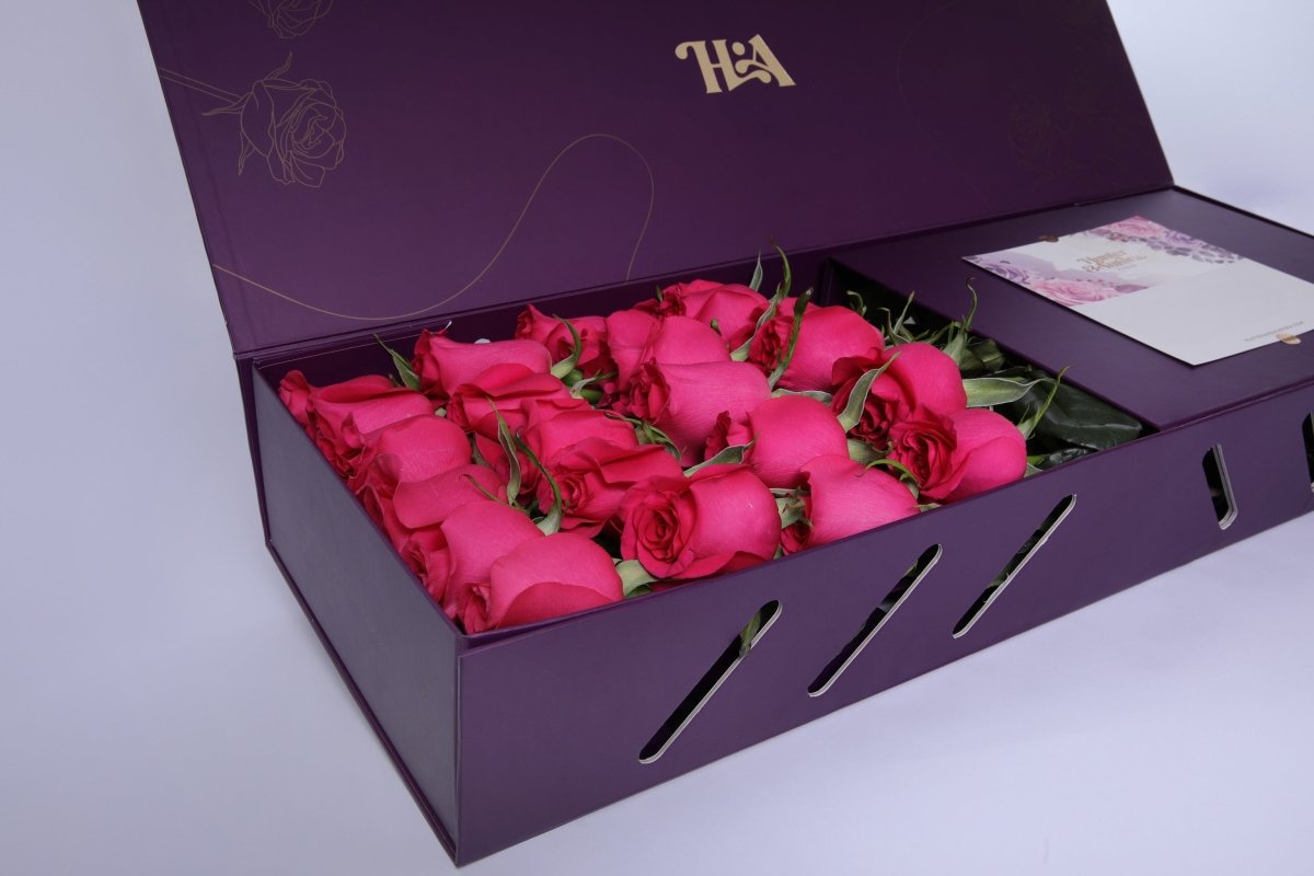 Fuchsia Fantasy - Hunter & Aurora Roses