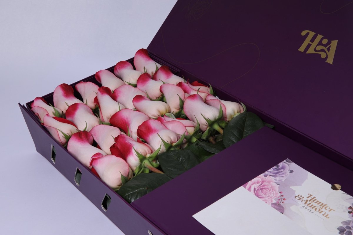 Crimson Embrace - Hunter & Aurora Roses