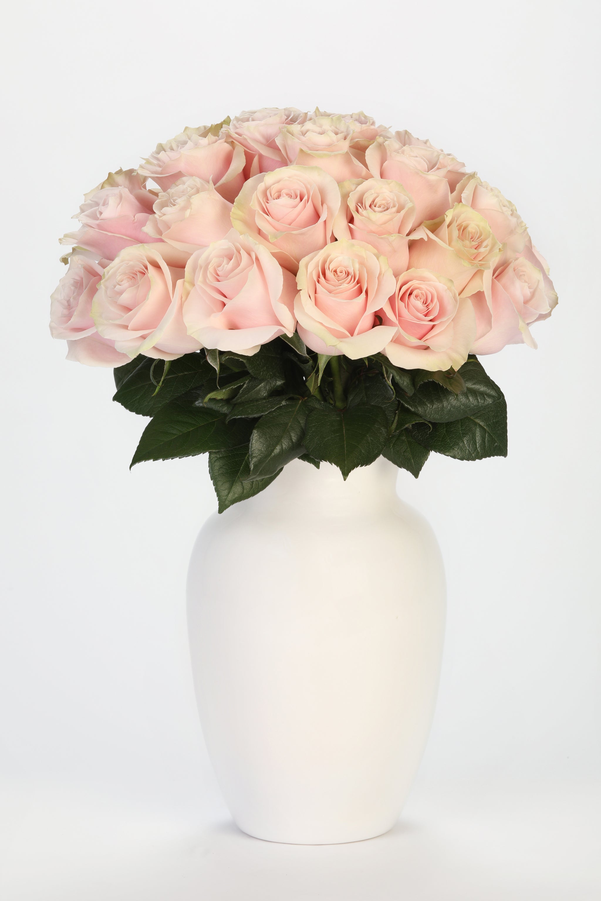Blush Elegance