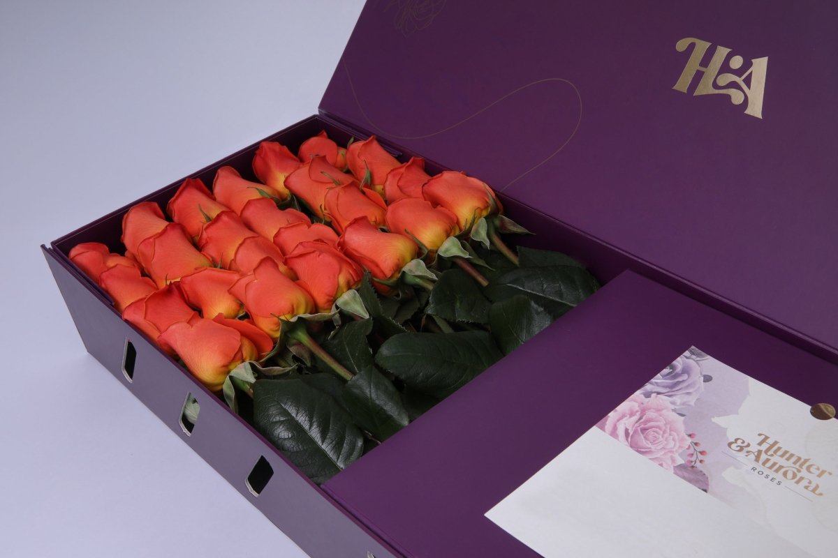 Citrus Blaze - Hunter & Aurora Roses