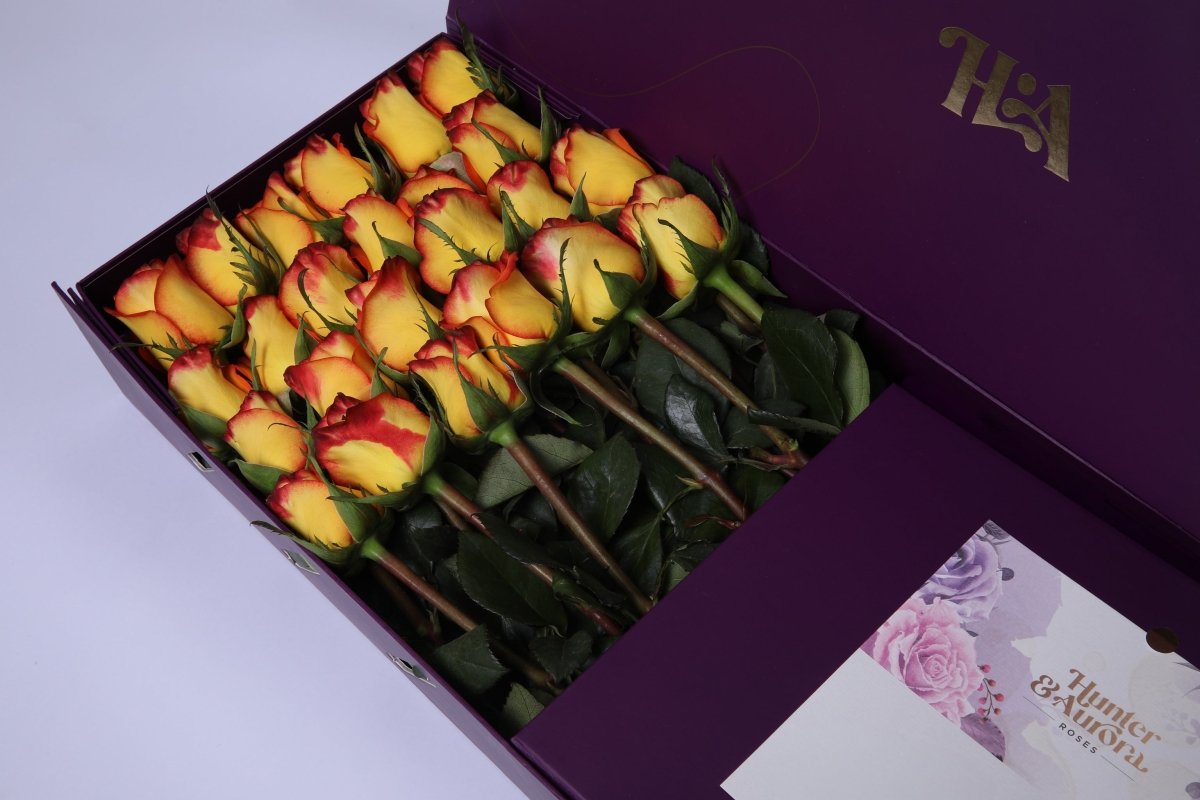 Fire & Gold - Hunter & Aurora Roses