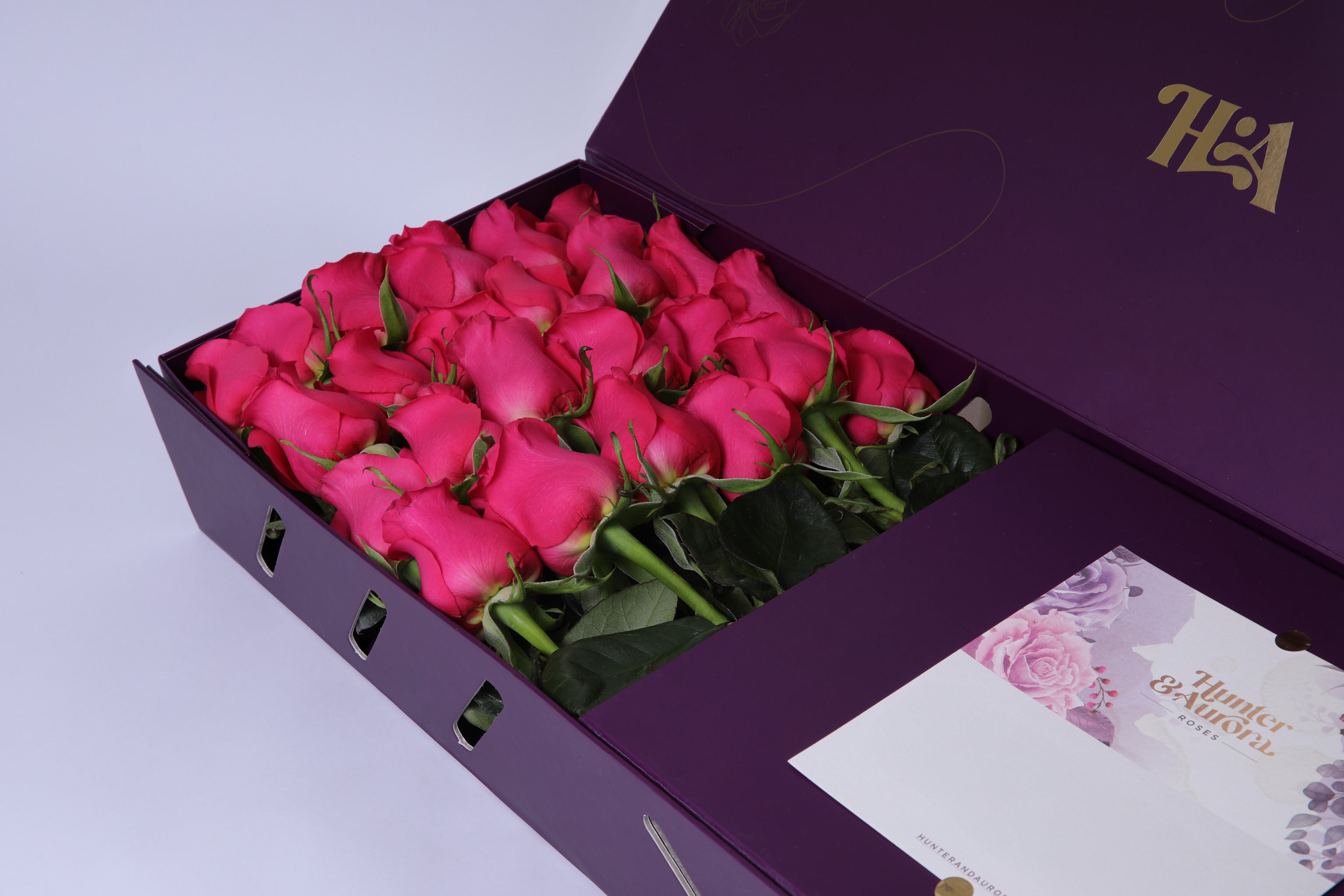 Fuchsia Fantasy