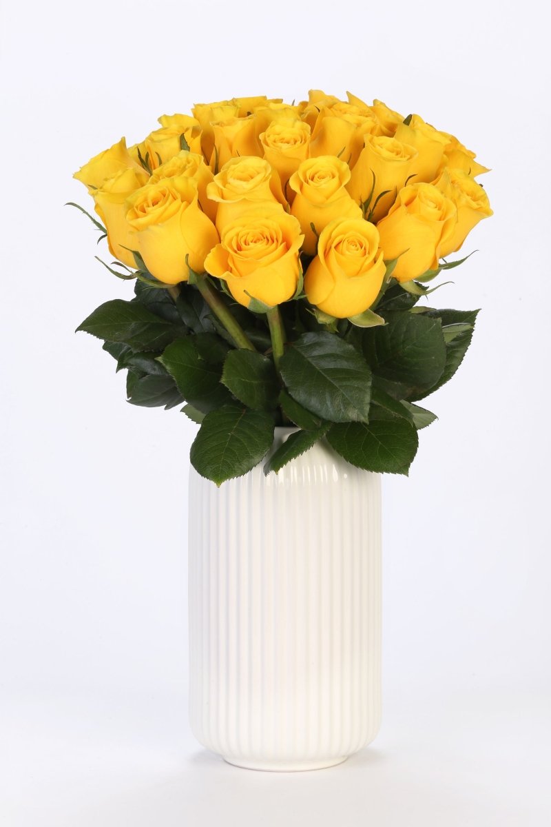 Sunshine Bliss - Hunter & Aurora Roses